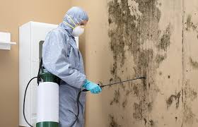 Reliable Brices Creek, NC Mold Prevention & Removal  Solutions